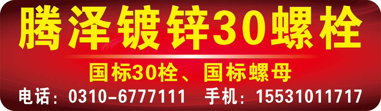 腾泽镀锌30螺栓